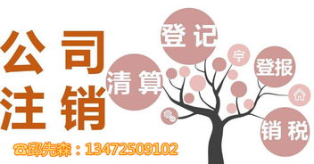 一站式服務(wù) 上海各區(qū)公司注銷(xiāo)、工商注冊(cè)及商標(biāo)代理全方位指南