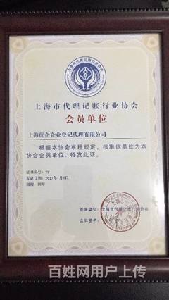 商標(biāo)代理 企業(yè)品牌保護(hù)與發(fā)展的專(zhuān)業(yè)護(hù)航者