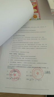 誠信認證 上海小陸企業登記代理的專業服務與可靠保障