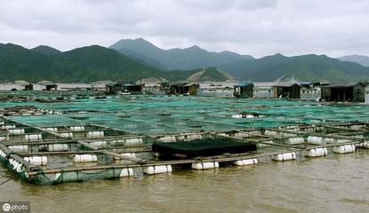 農業農村部發文力推綠色養殖 水產養殖退出機制與補償措施同步落地