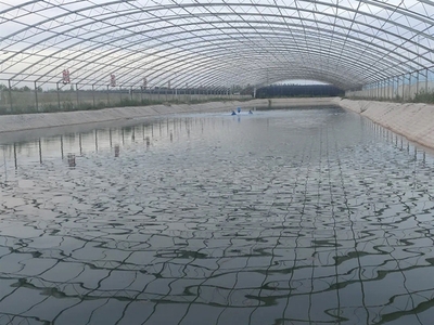 水產養殖的搖籃 選擇適合你的開始之路