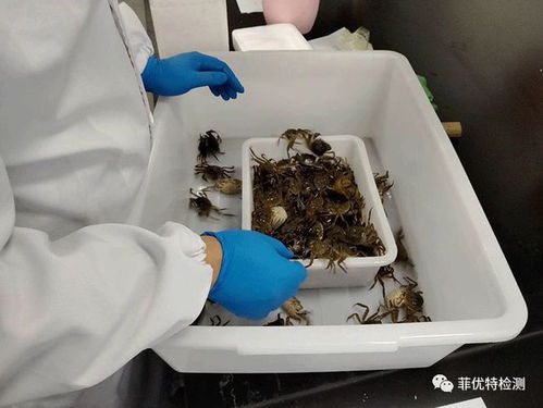 你負責水產養殖，我們負責病害檢測 菲優特降低各類水產養殖風險